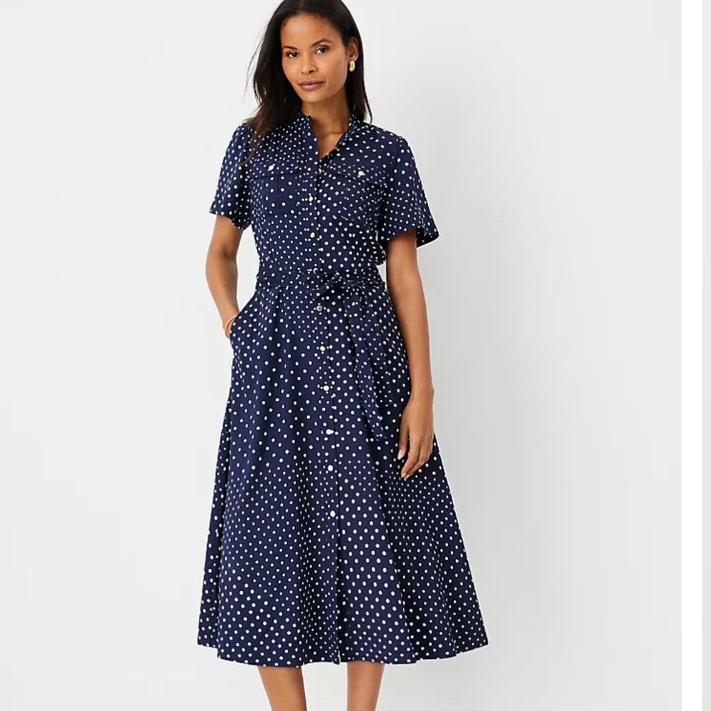 Ann Taylor polka dot dress